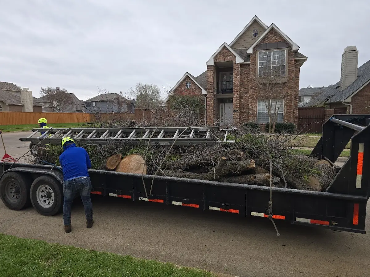 Expert Tree Removal with proper safety equipment in Peachtree Corners
